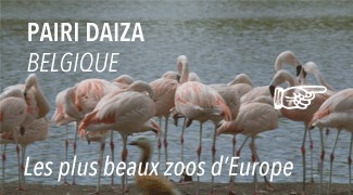 Zoo Pairi Daiza