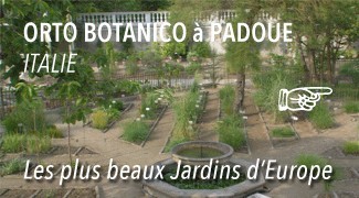 Orto Botanico de Padoue