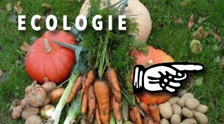 Ecologie-science