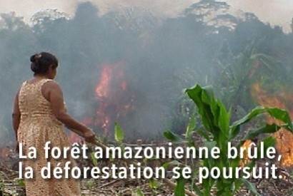 La forêt amazonienne 